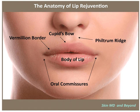 Lip Enhancement